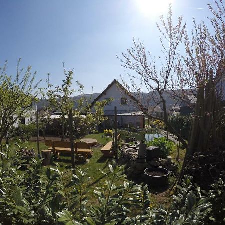 Moselie Ferienwohnung Kinheim Mosel Ngoại thất bức ảnh