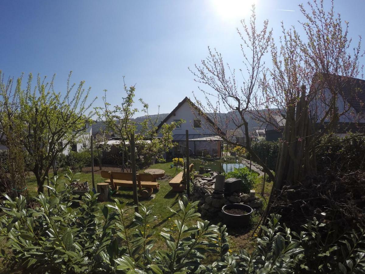 Moselie Ferienwohnung Kinheim Mosel Ngoại thất bức ảnh
