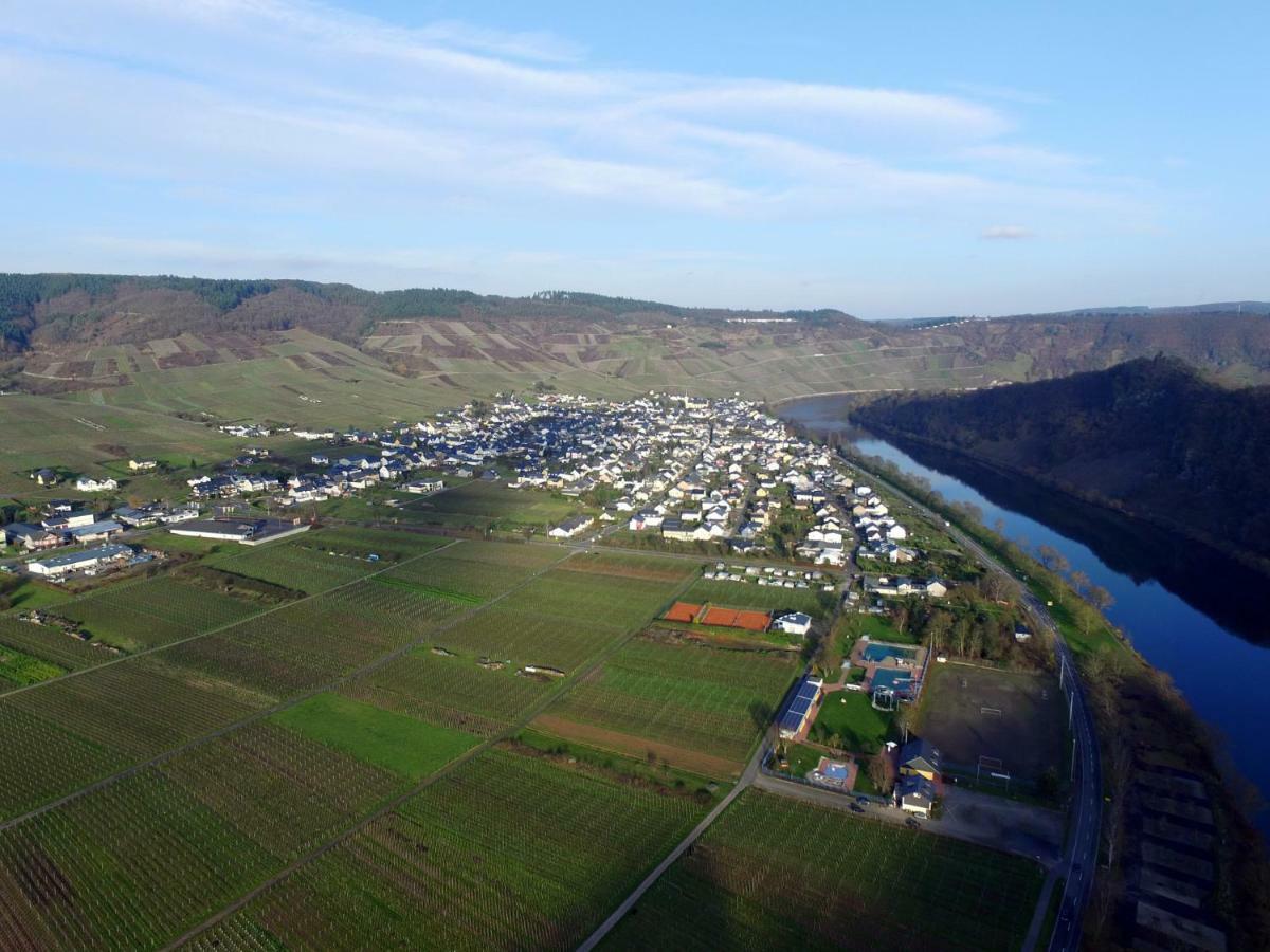 Moselie Ferienwohnung Kinheim Mosel Ngoại thất bức ảnh